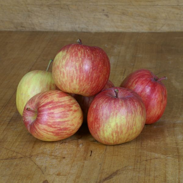 Äpfel Fuji 1kg