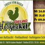 hofladen melder hofgockel schlachttermine 2