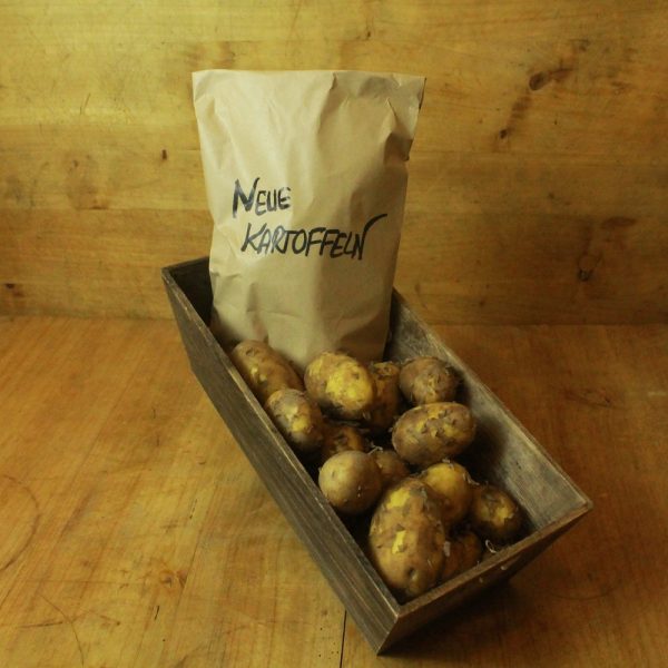 Neue Kartoffeln festkochend
