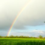 Das Bild zeigt eine Wiese und einen Regenbogen am Himmel.