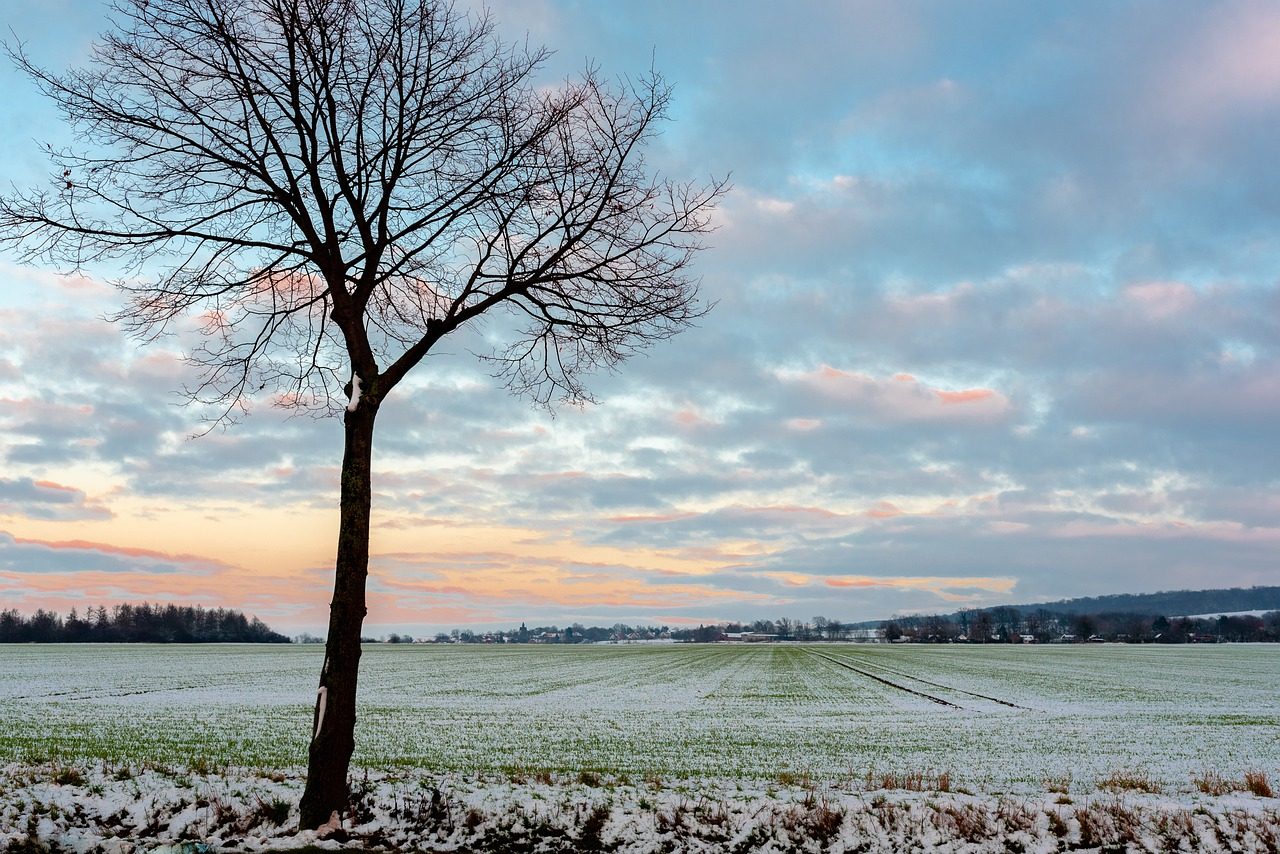 Ein neues Jahr beginnt - Januar/Februar 2022