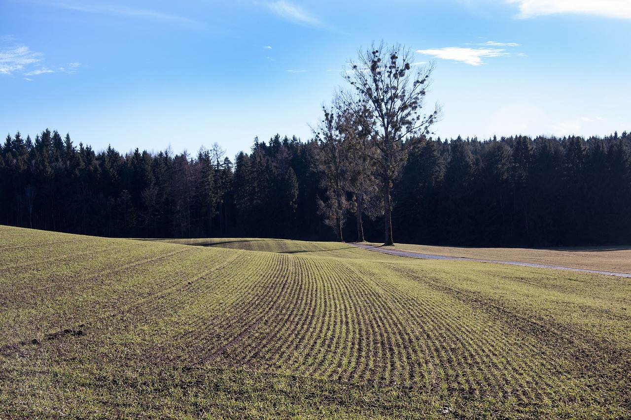 Und wieder starten wir in ein Neues Jahr – das ist los bei uns im Januar und Februar